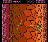 une photo d'Ã©cran de Battletoads sur Nintendo Nes